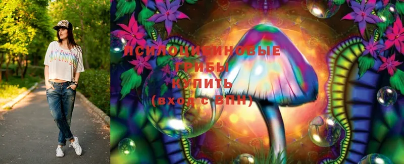 blacksprut рабочий сайт  Краснозаводск  Галлюциногенные грибы Psilocybine cubensis 